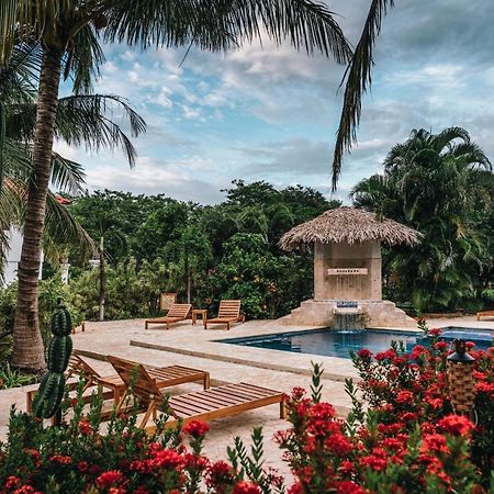 Drift Away Lodge Bãi biển Bãi biển Playa Avellana Ngoại thất bức ảnh